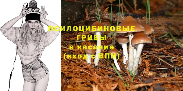 МДПВ Магас
