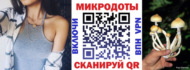 MEGA вход  Перевоз  Псилоцибиновые грибы MAGIC MUSHROOMS 